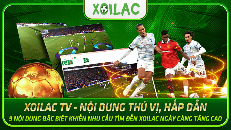 Xoilac TV là kênh trực tiếp bóng đá miễn phí hàng đầu Việt Nam